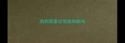 狗狗需要经常换狗粮吗