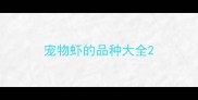 宠物虾的品种大全