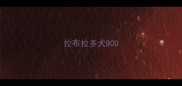 拉布拉多犬800