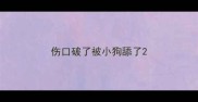 伤口破了被小狗舔了