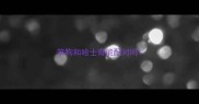 笨狗和哈士奇能配对吗