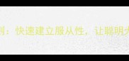 边牧训练5大黄金法则快速建立服从性让聪明犬只成为家庭好伙伴