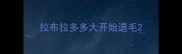 拉布拉多多大开始退毛