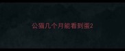 公猫几个月能看到蛋