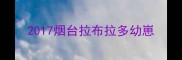 2017烟台拉布拉多幼崽