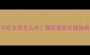 哈士奇幼犬5天不吃东西怎么办兽医紧急处理指南与预防措施全