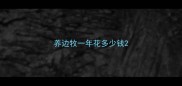 养边牧一年花多少钱