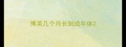 博美几个月长到成年体