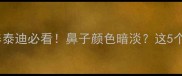 泰迪狗鼻子颜色全新手养泰迪必看鼻子颜色暗淡这5个原因让你秒懂如何护理