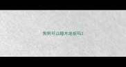 狗狗可以睡木地板吗
