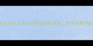 拉布拉多咬人原因及科学训练指南新手必看防咬攻略