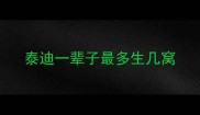 泰迪一辈子最多生几窝