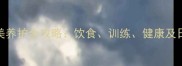 七个月大博美养护全攻略饮食训练健康及日常管理指南