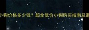 最新小狗价格多少钱超全低价小狗购买指南及避坑攻略