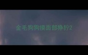 金毛狗狗摸面部狰狞