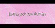 拉布拉多犬的叫声声音