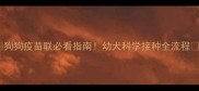 狗狗疫苗联必看指南幼犬科学接种全流程