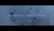 猫咪打疫苗前洗澡的五大注意事项及科学护理指南