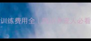 成都宠物训练费用全四川养宠人必看避坑指南