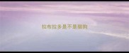 拉布拉多是不是猎狗