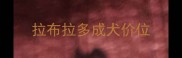 拉布拉多成犬价位