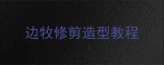 边牧修剪造型教程