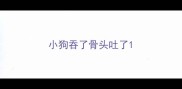 小狗吞了骨头吐了