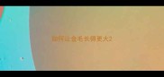 如何让金毛长得更大
