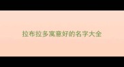 拉布拉多寓意好的名字大全