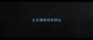 北京猫咪领养网站