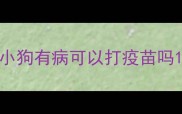 小狗有病可以打疫苗吗