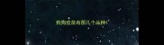 狗狗疫苗有那几个品种