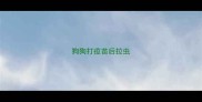狗狗打疫苗后拉虫
