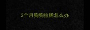 2个月狗狗拉稀怎么办