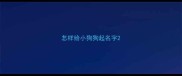 怎样给小狗狗起名字