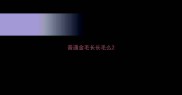 普通金毛长长毛么
