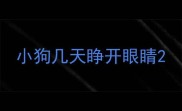 小狗几天睁开眼睛