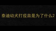 泰迪幼犬打疫苗是为了什么