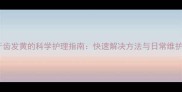 狗狗牙齿发黄的科学护理指南快速解决方法与日常维护技巧