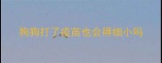 狗狗打了疫苗也会得细小吗