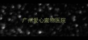 广州爱心宠物医院