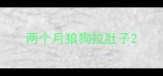 两个月狼狗拉肚子