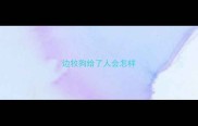 边牧狗给了人会怎样