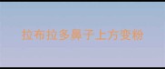 拉布拉多鼻子上方变粉