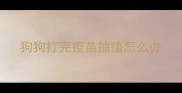 狗狗打完疫苗抽搐怎么办