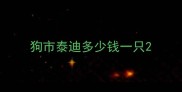 狗市泰迪多少钱一只