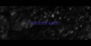 金毛住在什么地方