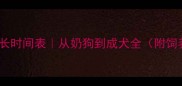 泰迪犬成长时间表从奶狗到成犬全附饲养指南