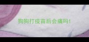 狗狗打疫苗后会痛吗