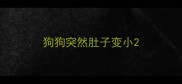 狗狗突然肚子变小